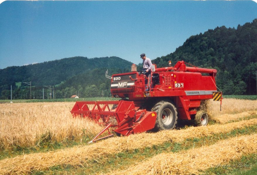 MF Drescher 11